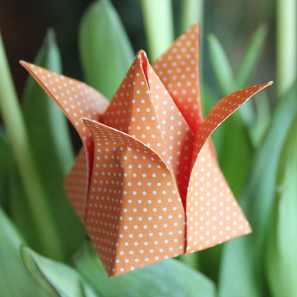 Papier-Bastel-Buch-Tipp: Blumen-Origami